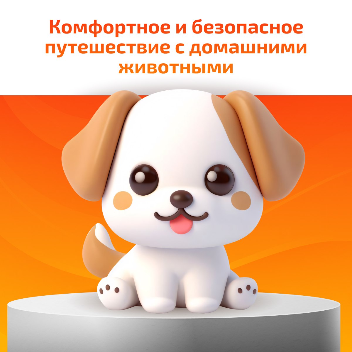 Комфортное и безопасное путешествие с домашними животными✈️🐶🐱